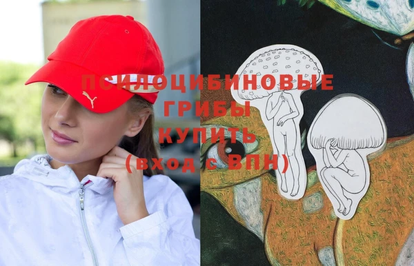 мет Карпинск