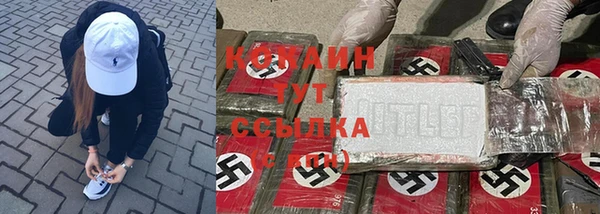 хмурый Алзамай