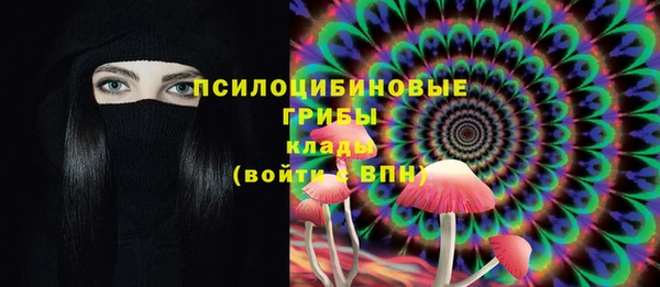 хмурый Алзамай