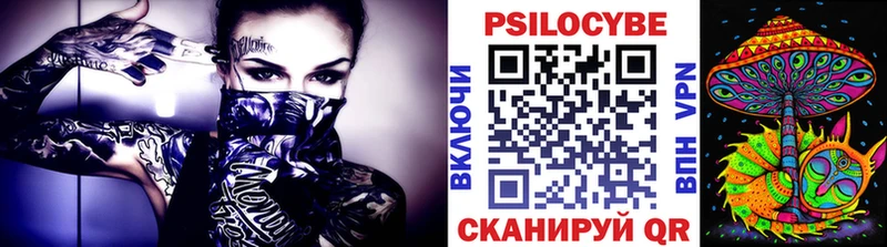 Псилоцибиновые грибы Psilocybe  Аша 